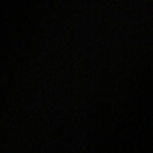 Meet your Posher, Dalanys